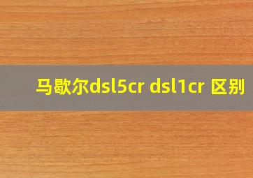 马歇尔dsl5cr dsl1cr 区别